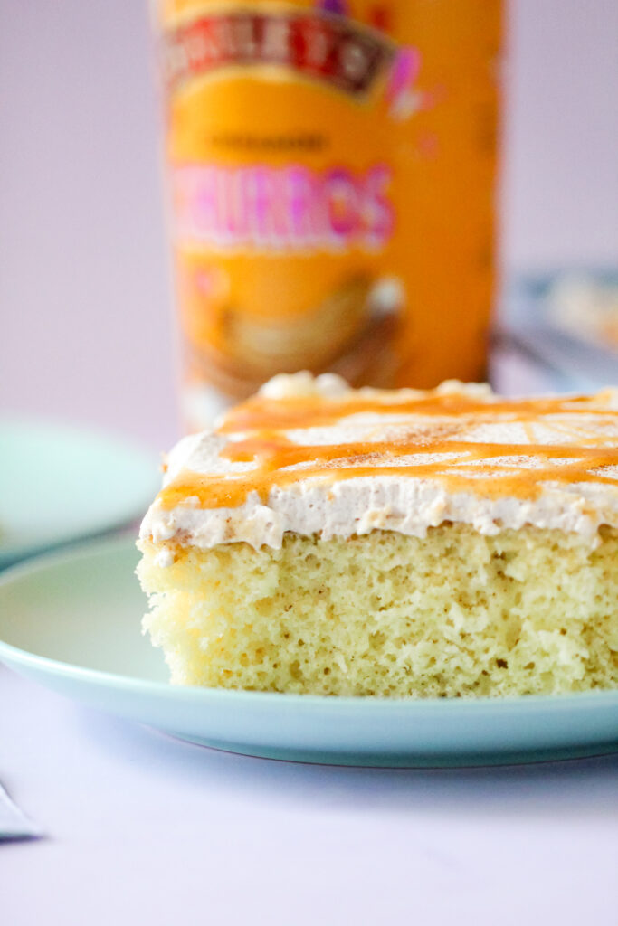 A slice of Churro Cream Poke Cake.